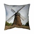 Fondo 26 x 26 in. Windmill-Double Sided Print Indoor Pillow FO2792925
